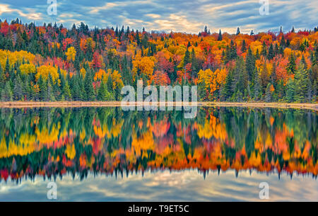 Colores de otoño reflejado en Lac Modène. Grandes Lagos - Región Forestal de San Lorenzo. Parque Nacional de Mauricie Quebec Canada Foto de stock