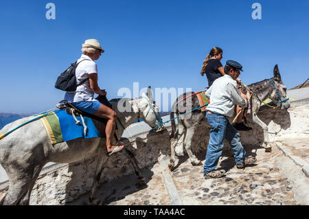 Santorini en Grecia, la gente de turismo, los turistas suben hasta Thira, Donkey controlador ayuda a viajar a la colina, Europa