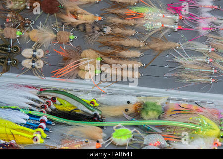 El agua salada pesca con mosca fly fishing diferentes bugs en la casilla Foto de stock
