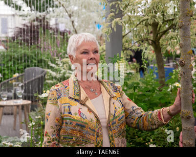 La actriz y escritora, Dame Judith Olivia Dench, conocido como Judi Dench, en el RHS Chelsea Flower Show. Foto de stock