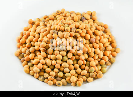 La soya o soja Semillas Grano sobre fondo blanco Fotografía de stock - Alamy