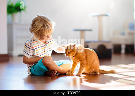 Niño jugando con el gato en la casa. Los niños y las mascotas. Niñito alimentar y acariciar a color jengibre lindo gato. Gatos y scratcher árbol en el salón interior.