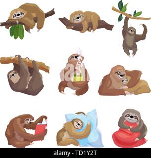 Iconos de pereza. Cartoon juego de sloth vector iconos para diseño web