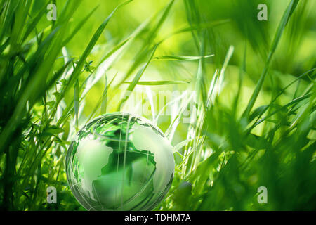 Globo de Cristal en la hierba verde hermoso. Concepto de entorno.