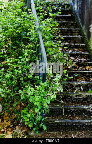 Vista de una primavera abandonado jardín que rodea la casa, un hombre muerto, Lyon, Francia.