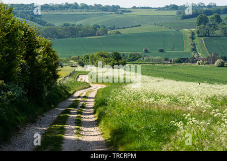 El Ridgeway, cerca de Avebury, Wiltshire Foto de stock