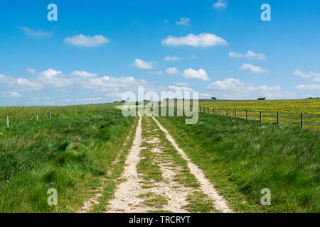 El Ridgeway, cerca de Avebury, Wiltshire Foto de stock