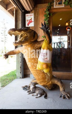 Gato que descansa bajo la estatua del cocodrilo, escaparate de Citrus, Florida Foto de stock