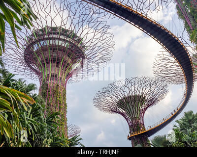 Un árbol artificial jardín vertical en el Supertree Grove en los jardines  junto a la bahía de Singapur Fotografía de stock - Alamy