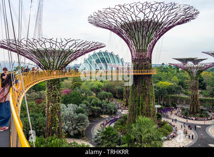 Los turistas de la pasarela elevada OCBC Skyway entre dos de los Supertree Supertrees en el Grove en jardines junto a la bahía de Singapur.
