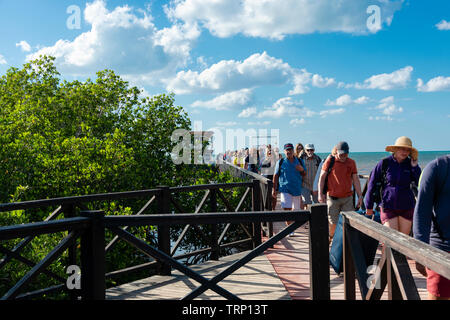 Viajeros y turistas desembarcan de Cayo Levisa ferry al puerto de Palma Rubia, provincia de Pinar del Río, Cuba, El Caribe Foto de stock