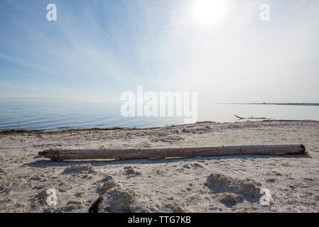 Mar de Salton en la playa del Mar de Salton. Foto de stock