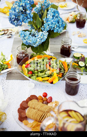 Un alto ángulo de visualización de la comida servida en la mesa de picnic Foto de stock