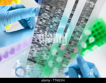 Manos recortada del científico la celebración de gel de ADN en el laboratorio Foto de stock