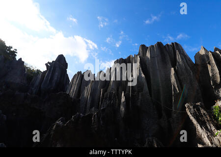 El bosque de piedras del paisaje en Yunnan. Esta es una de formaciones de piedra caliza situada en la zona de Karst de Shilin, Yunnan, China Foto de stock