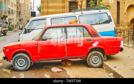 El rojo gato salvaje duerme en la parte superior de la retro coche, mientras que el perro duerme bajo el coche, El Cairo, Egipto Foto de stock
