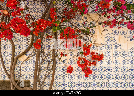 Vintage azulejo portugués azulejería cerámica en Tavira. Algarve, Portugal Foto de stock