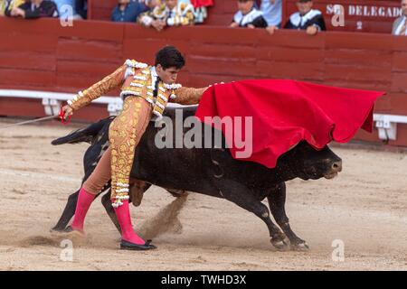 España Toledo una corrida de toros Foto & Imagen De Stock España, Kastilien La Mancha, Toledo, arena, bloqueo, torero