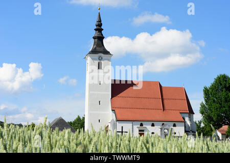 Seewalchen am Attersee: iglesia en Salzkammergut, Oberösterreich, Upper Austria, Austria Foto de stock