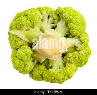 Ruta coliflor color aislado en blanco