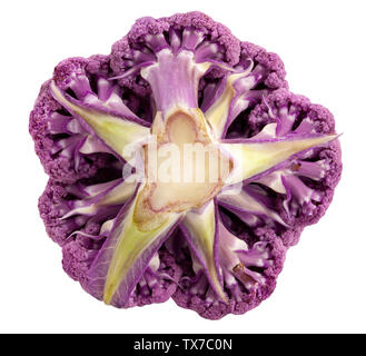 Ruta coliflor color aislado en blanco