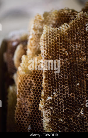 Panal de miel Natural