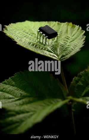 Entidad electrónica a través de una hoja de planta