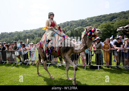 Todmorden, Yorkshire, Reino Unido. El 29 de junio, 2019. Las carreras de camellos en Todmorden Juego y Country Fair. Todmorden. Crédito: Barbara Cook/Alamy Live News Foto de stock