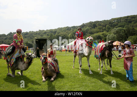 Todmorden, Yorkshire, Reino Unido. El 29 de junio, 2019. Los camellos en Todmorden Juego y Country Fair. Todmorden. Crédito: Barbara Cook/Alamy Live News Foto de stock