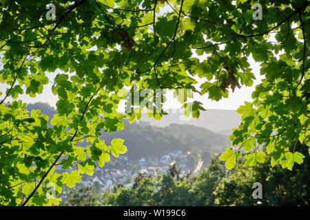 Rodada con paisaje hermoso verano verde de las hojas de un árbol y una vista de la ciudad de Bad Orb, Hessen, Alemania Foto de stock