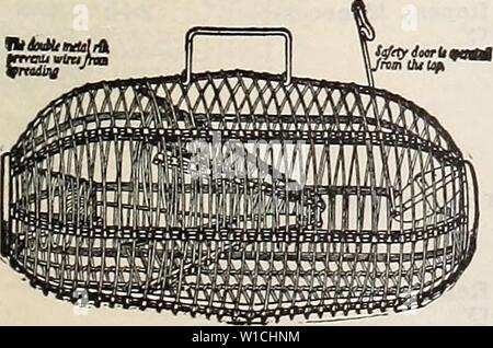 https://l450v.alamy.com/450ves/w1chnm/imagen-de-archivo-de-la-pagina-66-del-jubileo-de-diamante-75-aniversario-1935-bodas-de-diamante-75-aniversario-diamondjubilee751935grif-ano-1935-victor-ratones-y-ratas-trampas-hechas-de-bloques-de-madera-dura-carnada-gancho-disenado-para-hacer-captura-de-seguro-en-todo-momento-mucho-se-alzo-con-grapas-que-no-puede-salir-precio-trampas-para-ratones-3-10c-5c-extra-de-franqueo-de-las-trampas-de-la-rata-cada-uno-de-los-10-c-mas-gastos-de-envio-5c-el-alambre-jaula-trampa-ratas-del-tamano-de-esta-trampa-resulta-ideal-para-uso-interno-es-fuerte-y-resistira-el-uso-aspero-la-puerta-de-patentes-elim-inates-todo-peligro-de-las-ratas-de-laboratorio-tamano-16-pulgadas-de-largo-9-pulgadas-de-ancho-7-i-w1chnm.jpg