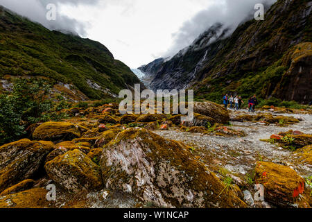 Los excursionistas en el valle a pie, el glaciar Franz Josef, Isla del Sur, Nueva Zelanda Foto de stock