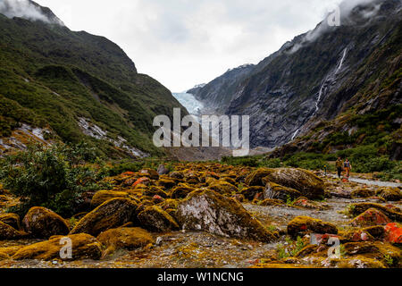 Los excursionistas en el valle a pie, el glaciar Franz Josef, Isla del Sur, Nueva Zelanda Foto de stock