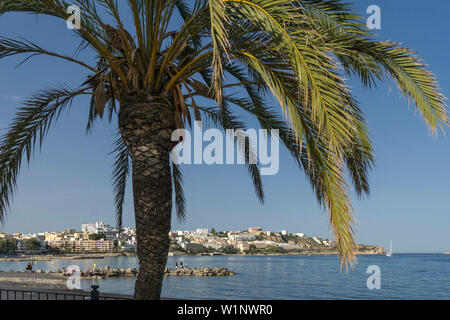 Platja de Ses Figueretes, playa, Eivissa Pityuses, Ibiza, Islas Baleares, España, Europa Foto de stock