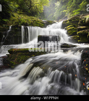 Purakaunui Falls, Cascada en los Catlins, Clutha, Otago, Southland, Isla del Sur, Nueva Zelanda, Oceanía Foto de stock