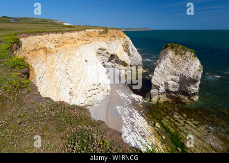 Mar,pilas,ola,corte,plataforma,tiza,playa,bahía de agua dulce,isla de Wight, Inglaterra,Reino Unido,Geología, Foto de stock