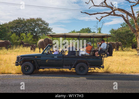 Manada de elefantes en la parte delantera de un coche con turistas de safari en el Parque Nacional Chobe Foto de stock