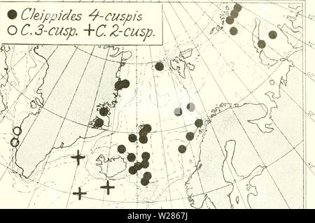 Imagen de archivo de la página 368 de la Asociación Danesa de Ingolf-Expedition (1899-1953). El danés-expedición Ingolf danishingolfex3CPT8daniuoft Año: 1899-1953 CRUSTACEA MALACOSTKACA. VII. 287 W Jitf Jtf yfr yt- â¢yS'ririlo-lfiY'- V Â£â / 4 CJeippides cúspide es o â€â¢ J-7. +C Z-cúspide Gráfico 51. Cleippid.es, 4-cuspis, C. 3-cuspis, C. 2-cuspis ocurrencia. El 'Ingolf' y otras expediciones han obtenido esta especie en varias estaciones. E.Groenlandia: Entrada de prisa, la boca, la habitación. 1 spec. (E. Greenl. Relájese en nuestro hermoso. 11-8-1900). Fiordo Forsblad, Abt. A 100 m., 1 $ ovig., y Abt. 185â100 m., piedras con arcilla y grava,