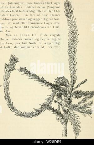 Imagen de archivo de la página 427 de la Dansk forstzoologi (1896)