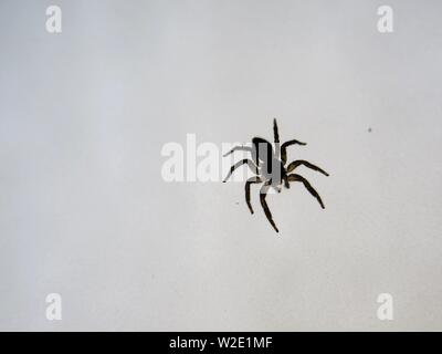 Pequeña araña de cristal se pule con chorro de arena. Foto de stock