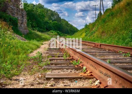 Ángulo de visión baja de una línea ferroviaria curvándose lejos alrededor de una curva en el paisaje con exuberante vegetación y polo de utilidad sobre el horizonte en un viaje