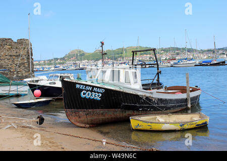 Pequeño barco pesquero "Welsh Maid' en Conwy Quay, Conwy, Gales Foto de stock
