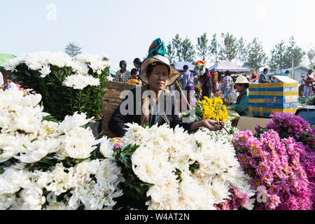 Indein, Myanmar - Marzo 2019: mujer birmano vende crisantemo flores en la calle del mercado.