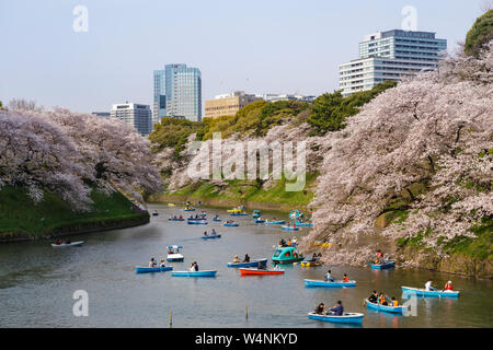 La gente disfruta de la floración de los cerezos que rodean el foso del Palacio Imperial de Tokio, Japón. Foto de stock