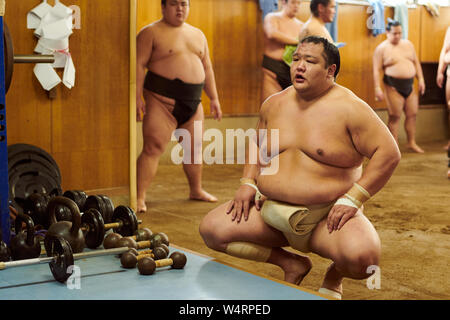 Los luchadores de Sumo en formación Foto de stock