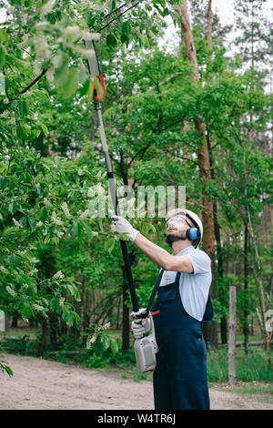 Jardinero en monos, cascos y protectores auditivos podar los árboles con pértiga  telescópica vio en el jardín Fotografía de stock - Alamy