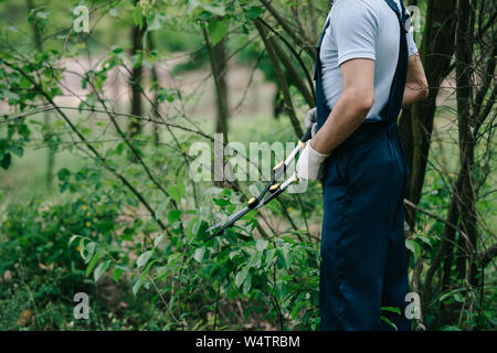 Jardinero en casco y peto podar los árboles con pértiga telescópica vio en  el jardín Fotografía de stock - Alamy