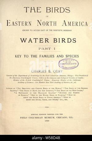 Las aves de Norteamérica oriental conocidos que se producen al este del meridiano 19 .. : Cory, Charles B. (Charles Barney), 1857-1921