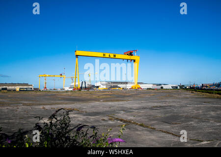 Samson y Goliath, las grúas de pórtico de construcción naval gemelas situadas en el astillero Harland & Wolff en la Isla de Queen, Belfast, Irlanda del Norte. Martes 23 de julio. Foto de stock