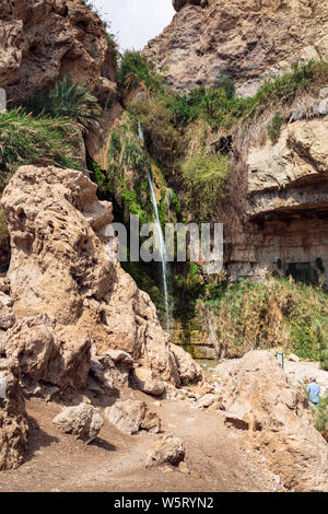 Un turista viendo el david cae en el David arroyo en el parque de Ein Gedi en Israel mostrando los acantilados y vegetación tropical que crece en el desierto Foto de stock